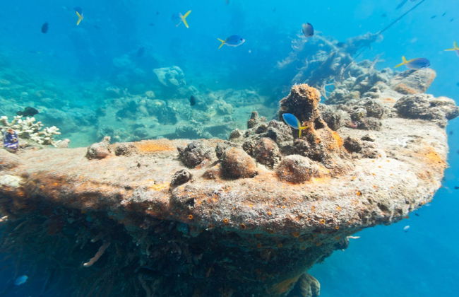 Shipwreck & Coral Reef Tour - Foto 2