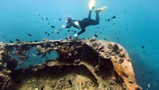 Shipwreck & Coral Reef Tour - Foto 4