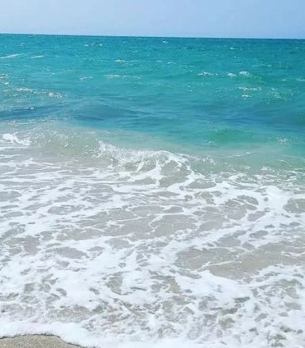 Foto de Excursión a la playa de Mayapo