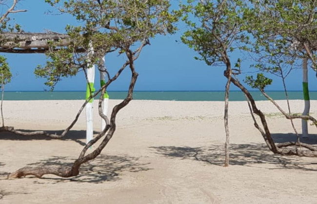 Excursión a la playa de Mayapo - Foto 2