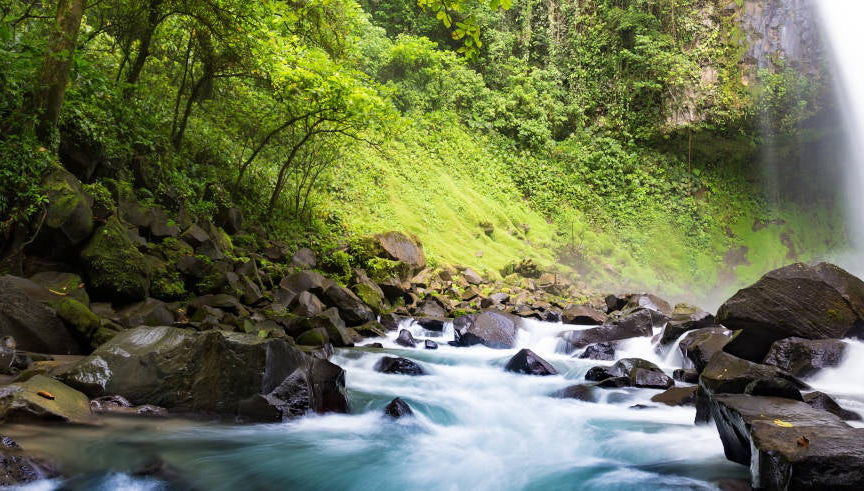Excursão à Catarata Rio Fortuna