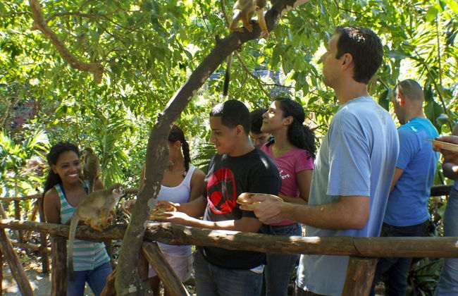 Tirolina en el Monkeyland - Foto 5