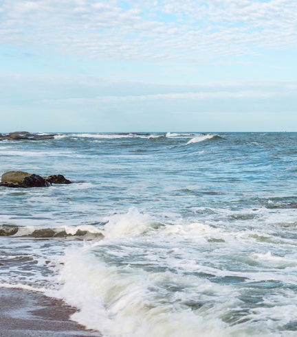 Foto de Excursión privada al balneario José Ignacio