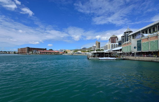 Excursão privada a Port Louis e Pamplemousses - Foto 1