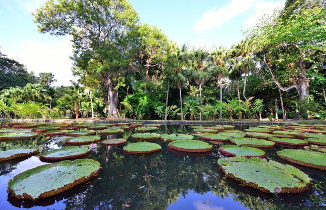 Excursão privada a Port Louis e Pamplemousses - Foto 3