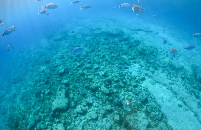 Ferry a isla de Lobos + Snorkel desde Corralejo - Foto 11