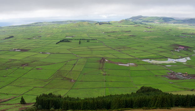 Tour pela costa leste da Terceira - Foto 5