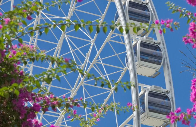 Visita guiada por Brisbane - Foto 5