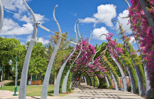 Visita guidata di Brisbane - Foto 1