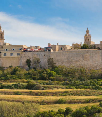 Foto de Excursión a Mdina y los acantilados de Dingli