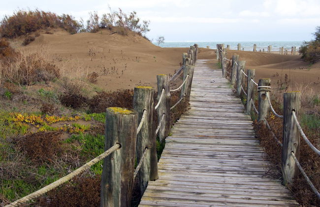 Passeggiata a cavallo al Delta dell'Ebro - Foto 3