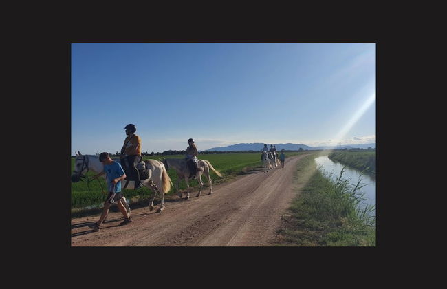 Paseo a caballo por el Delta del Ebro - Foto 6
