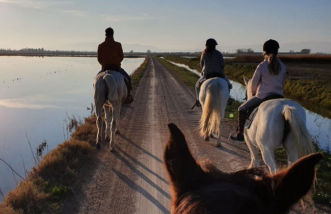 Paseo a caballo por el Delta del Ebro - Foto 2