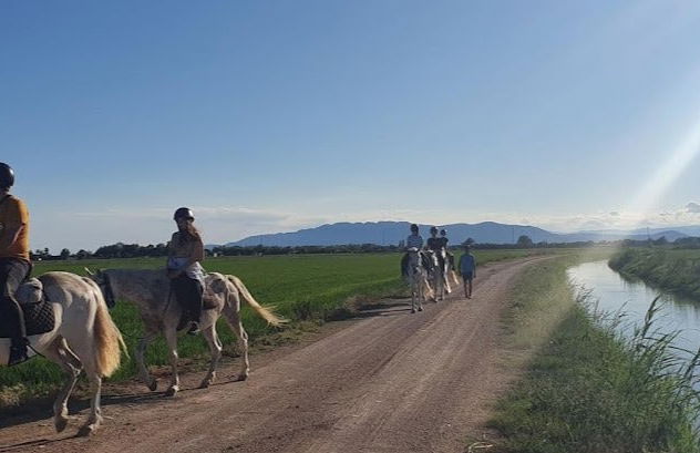 Paseo a caballo por el Delta del Ebro - Foto 9