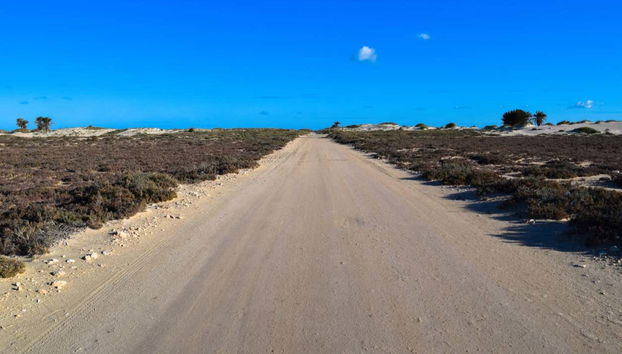 Tour en quad por Djerba - Foto 3
