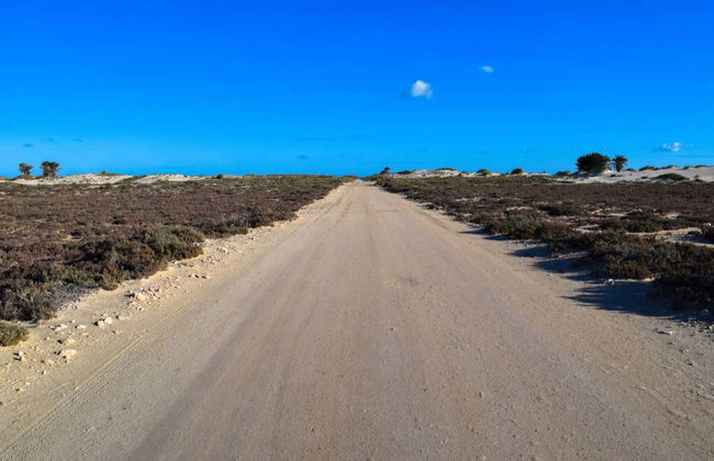 Quad Tour of Djerba - Foto 3