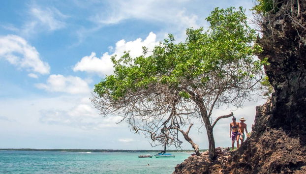 Excursión a Cartagena e Islas del Rosario - Foto 4