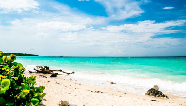 Excursión a Cartagena e Islas del Rosario - Foto 5