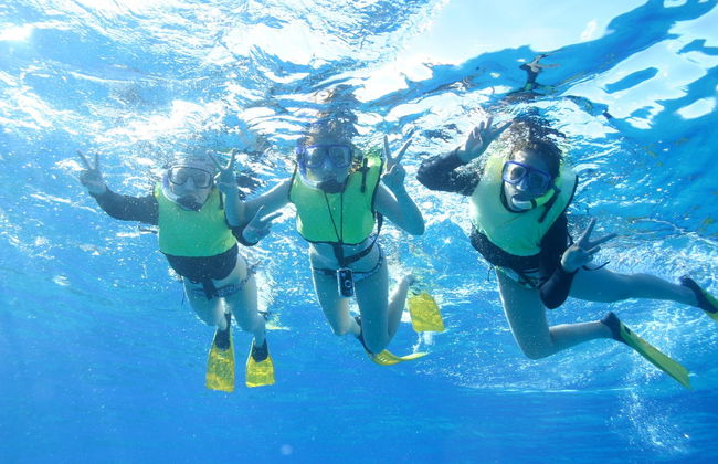 Oahu Dolphin or Turtle Watching & Snorkeling - Photo 5