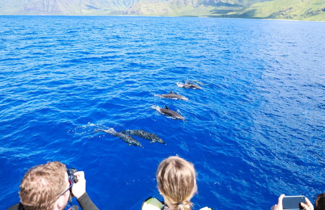 Oahu Dolphin or Turtle Watching & Snorkeling - Photo 2