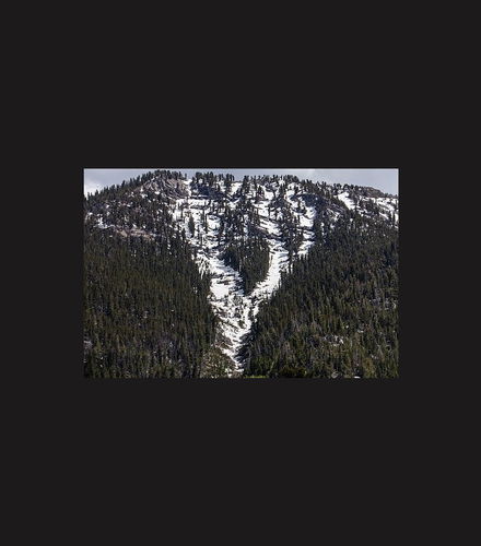 Photo – Day Trip to Mt. Charleston