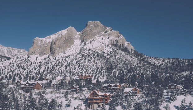 Day Trip to Mt. Charleston - Foto 5