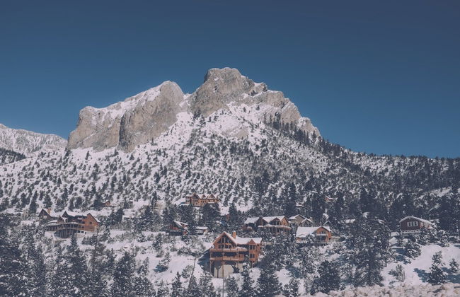 Day Trip to Mt. Charleston - Photo 5