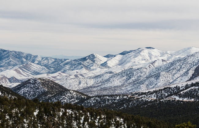 Day Trip to Mt. Charleston - Photo 6