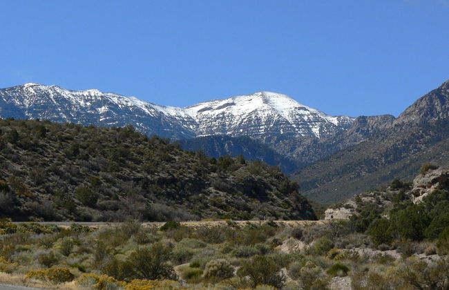 Day Trip to Mt. Charleston - Foto 3