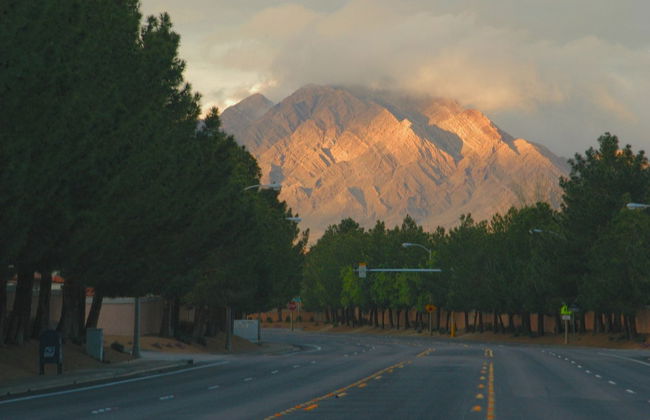 Day Trip to Mt. Charleston - Foto 2