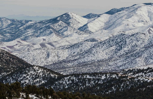 Day Trip to Mt. Charleston - Foto 4