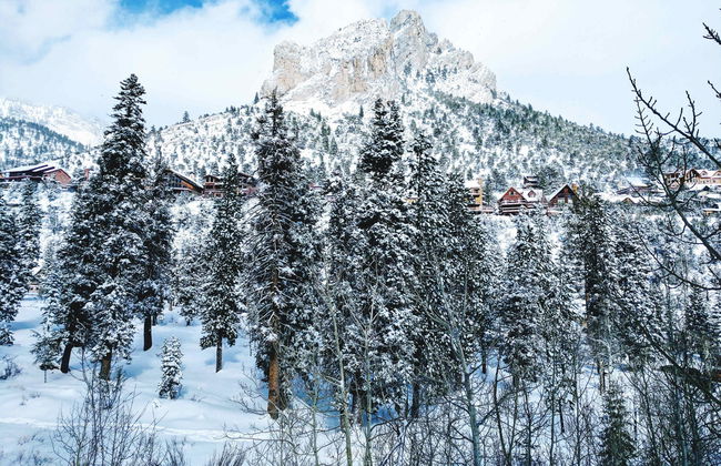 Day Trip to Mt. Charleston - Foto 1