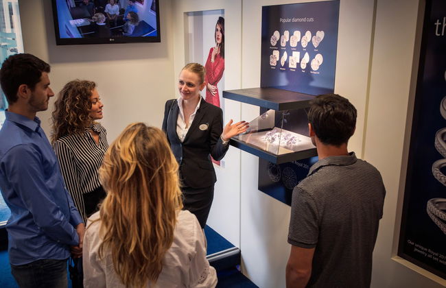 Visita guidata alla Royal Experience di Amsterdam - Foto 10
