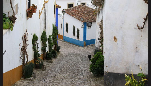 Escursione a Óbidos, Fátima e Nazaré - Foto 5