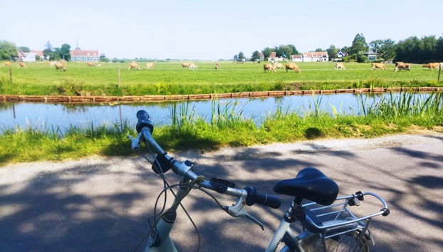 Balade à vélo dans la campagne hollandaise - Photo 3