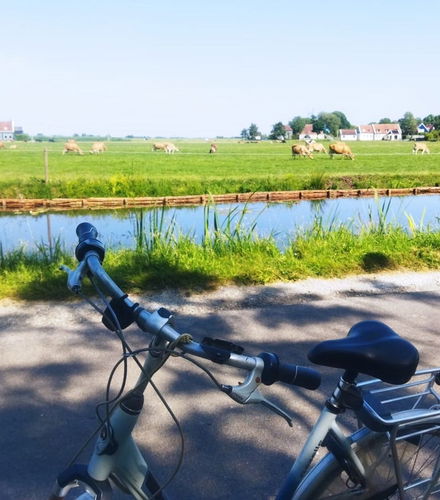 Foto de Tour en bicicleta por la campiña holandesa