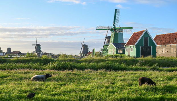 Balade à vélo dans la campagne hollandaise - Photo 2