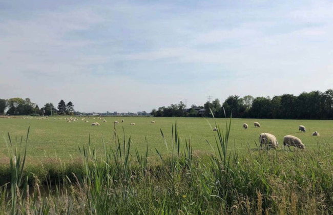 Dutch Countryside Bike Tour - Photo 6