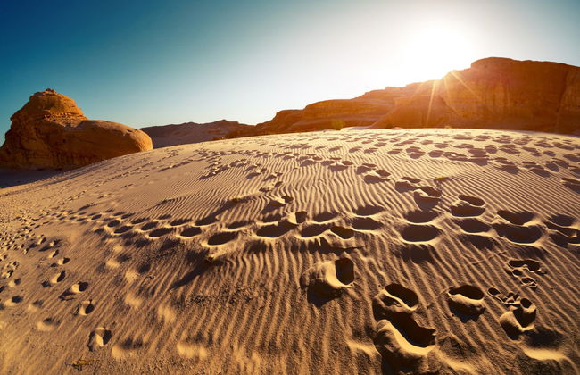 Sinai Desert Trip with Dinner and Show - Foto 6