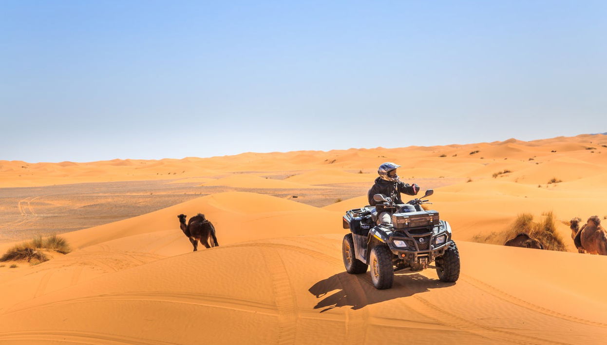Désert du Sinaï avec dîner-spectacle - Photo 1