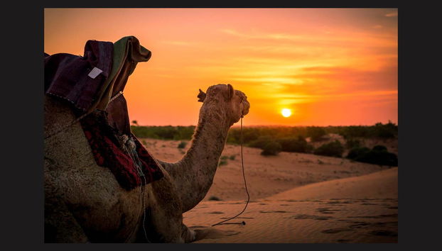 Desierto del Sinaí con cena y espectáculo - Foto 2
