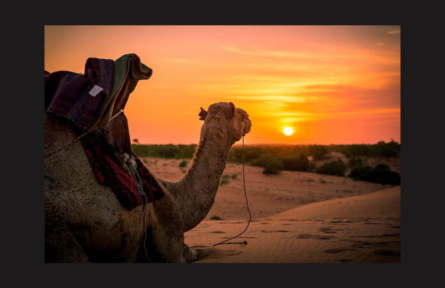 Desierto del Sinaí con cena y espectáculo - Foto 2
