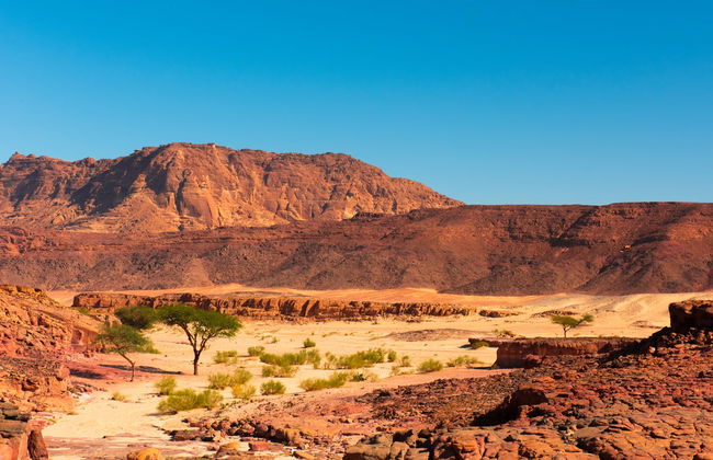 Sinai Desert Trip with Dinner and Show - Foto 4