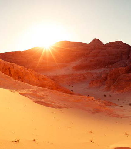 Foto de Desierto del Sinaí con cena y espectáculo