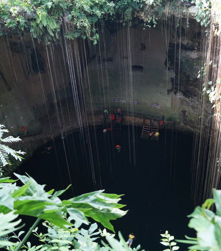 Foto de Excursión privada con guía desde Cancún