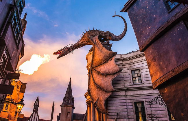 Excursion à Universal Studios Orlando - Photo 4