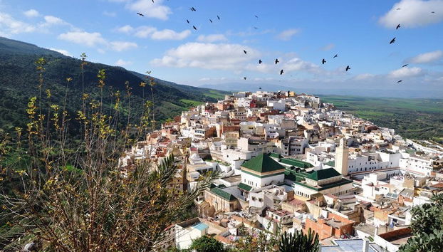 Excursión a Volubilis, Mulay Idrís y Meknes - Foto 2