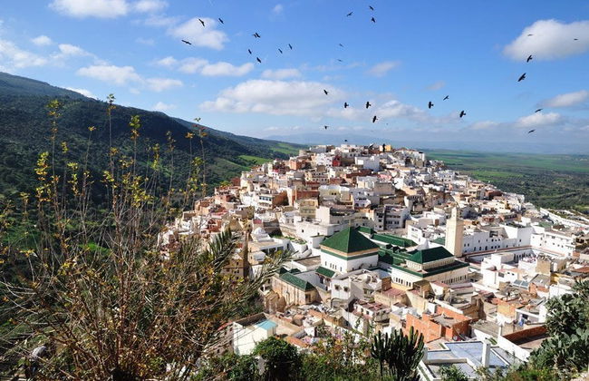 Volubilis, Mulay Idris and Meknes Tour - Foto 2