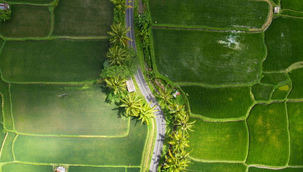 Noleggio auto con conducente a Bali - Foto 2