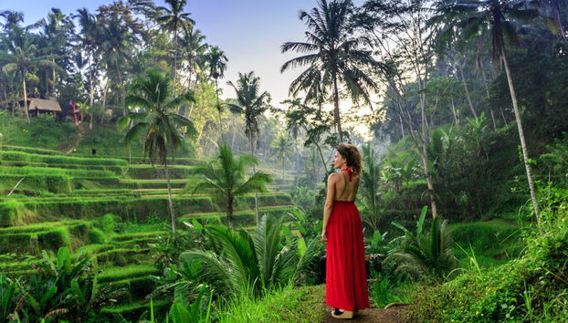 Noleggio auto con conducente a Bali - Foto 5